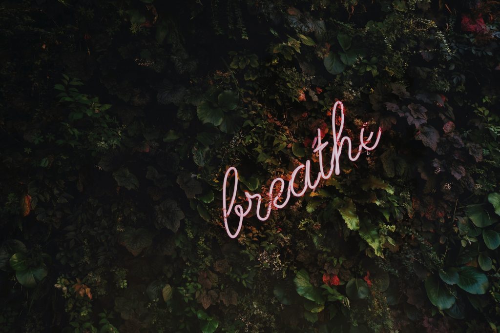 neon light which reads breathe on a wall of ivy